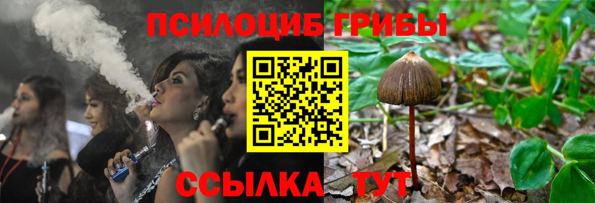 Псилоцибиновые грибы Psilocybine cubensis  Вход с VPN  Дзержинск  Псилоцибиновые грибы Psilocybine cubensis 