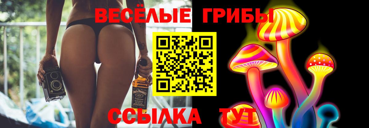 Галлюциногенные грибы прущие грибы Дзержинск